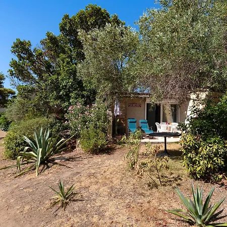 Le Cocody - Appt Avec Terrasse Proche De La Apartment *